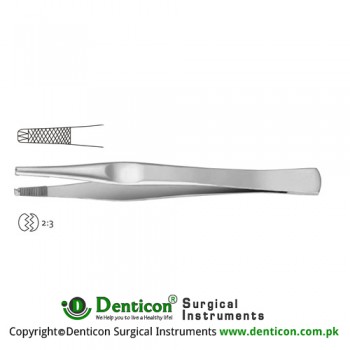 Lane Dissecting Forceps 2 x 3 Teeth Stainless Steel, 17.5 cm - 7"